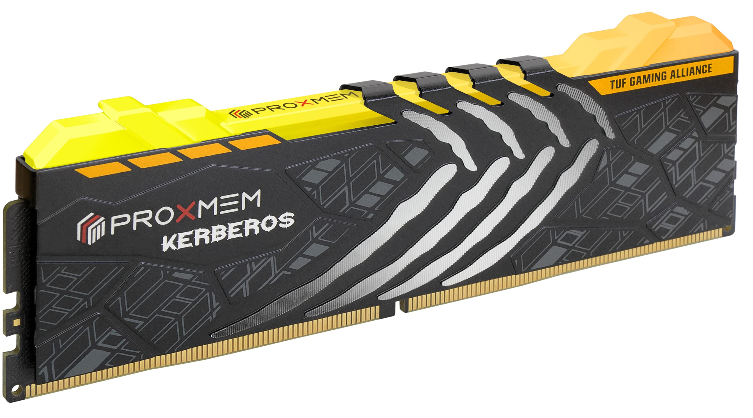 Amazon.co.jp: PROXMEM KERBEROS DDR5 TUF RGB 32GB (2x16GB) 6800MHz
